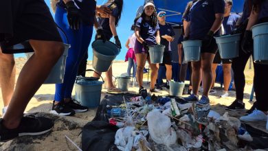 Com apoio da Sema, mutirão de limpeza na Praia da Barra recolhe mais de 2 mil itens em 30 minutos